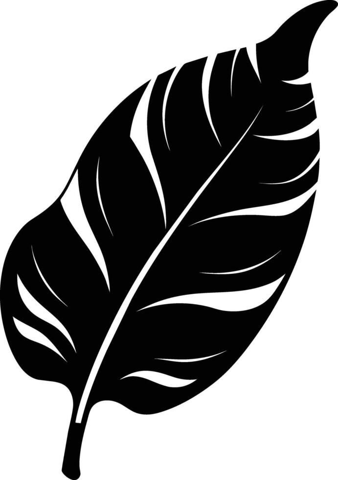 A black and white silhouette of a Banana leaf vector