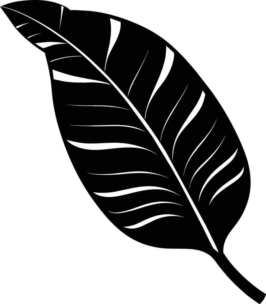 A black and white silhouette of a Banana leaf vector