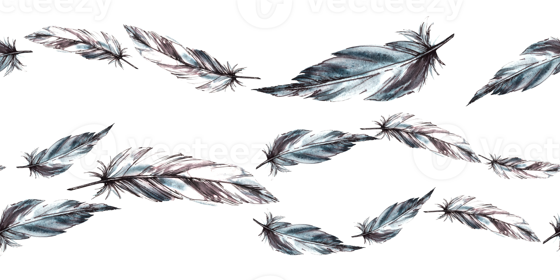 Watercolor seamless border, pattern with monochrome bird feathers grey black color with graphic ink line. Quills wings drawing illustration. Wrapping, fabric, packing print background png