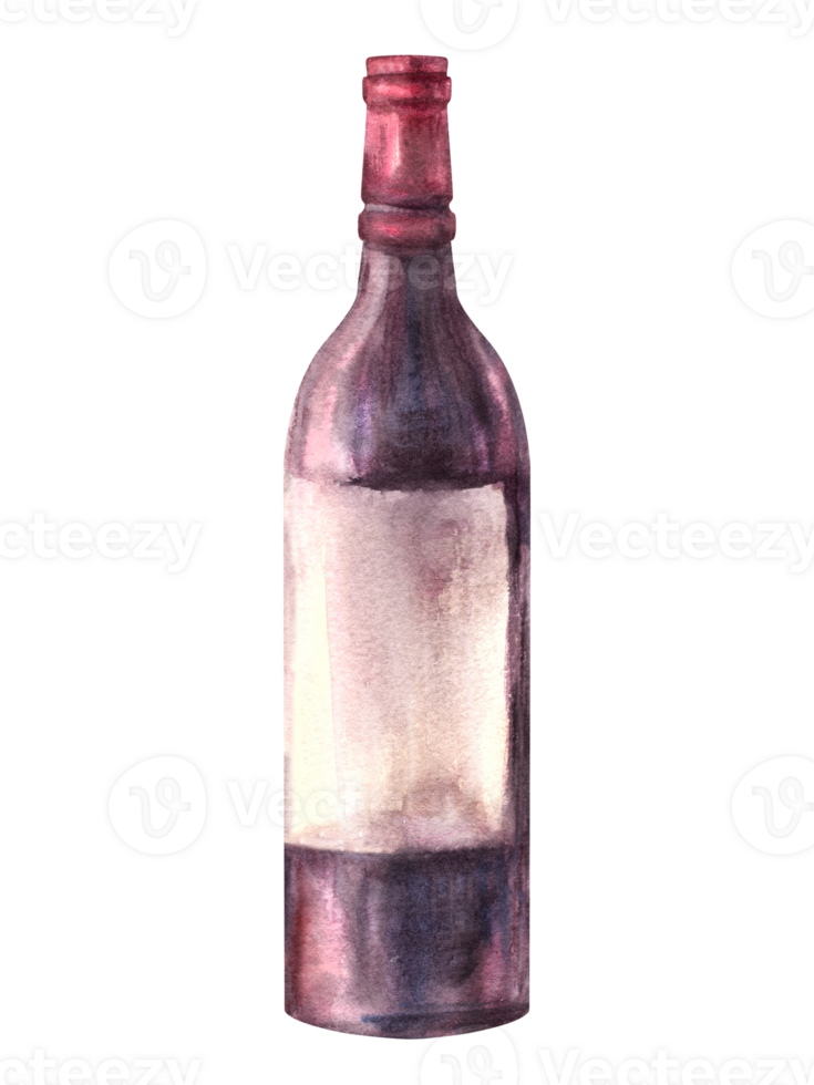 Bottle of red wine. Alcoholic beverage, liqueur, schnapps, juice. Watercolour hand drawn illustration. Grape winemaking. Drink menu, wine list, label, sticker print clipart png
