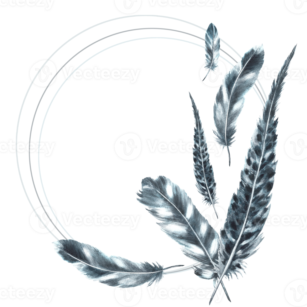 Gray, black feathers real bird wings bundle. Watercolor grey quill monochrome wreath. Hand drawn template illustration. Clipart with natural ornament card, invitation print background png