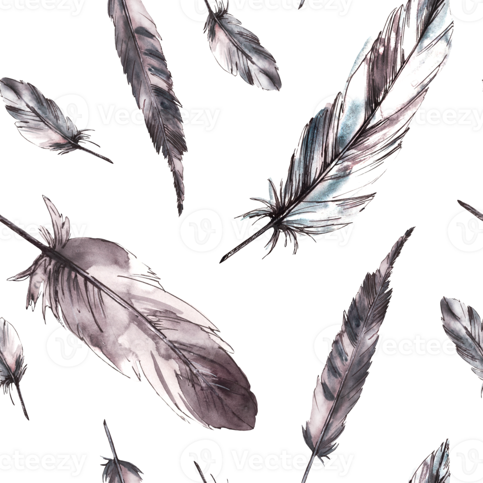 Watercolor bird feathers seamless pattern with monochrome feathers, grey black color with graphic ink line. Quills wings drawing illustration Wallpaper wrapping fabric print. background png