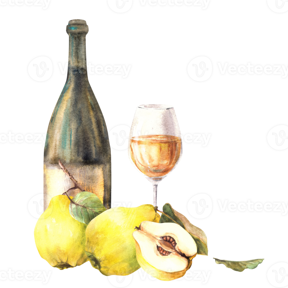 Quince fruit with bottle and glass of wine or juice, drink, yellow whole and cut fruit. Fruit liquor, wine, schnapps Alcohol label clipart Watercolor hand drawn illustration png