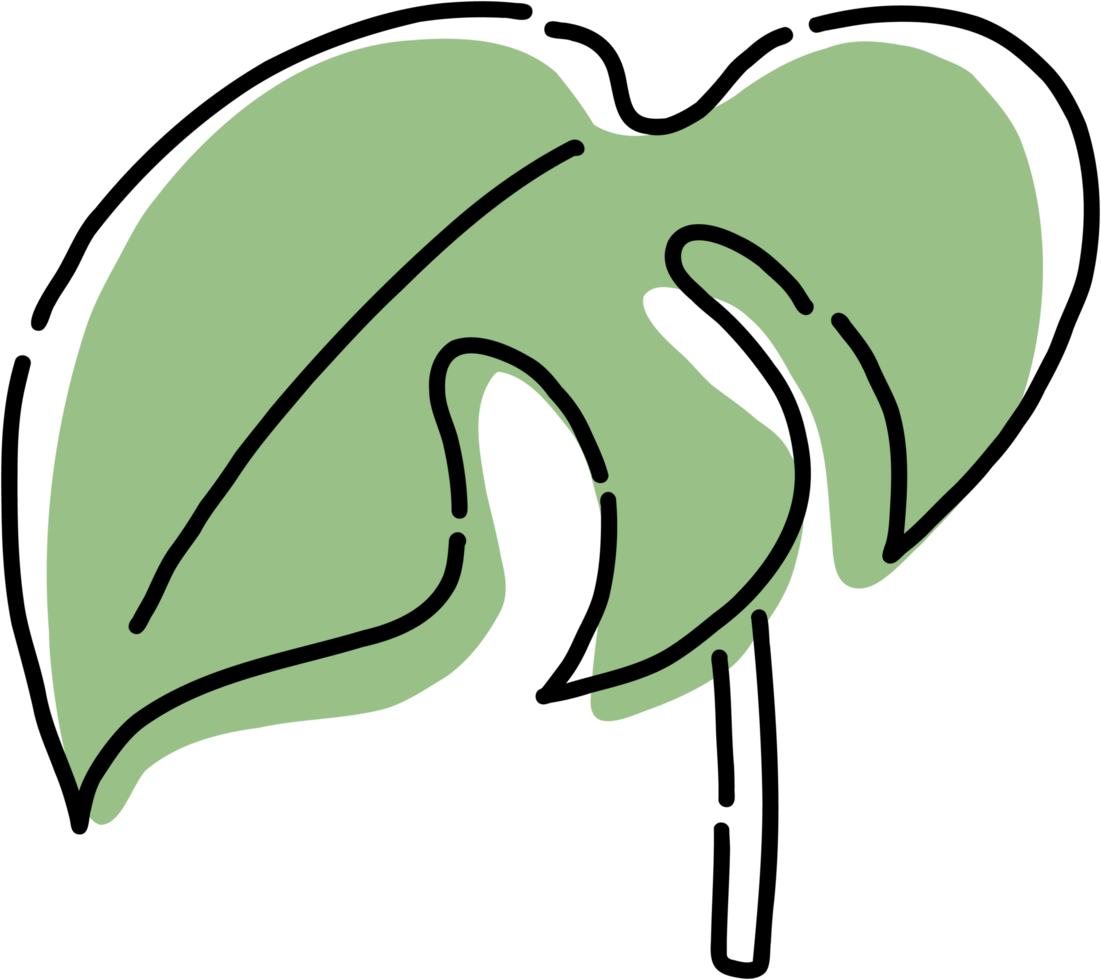 Simplicity monstera leaf freehand drawing flat design. png