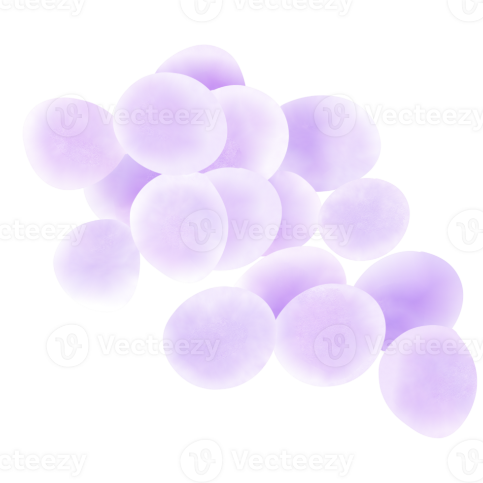 Staphylococcus Aureus Bacteria png