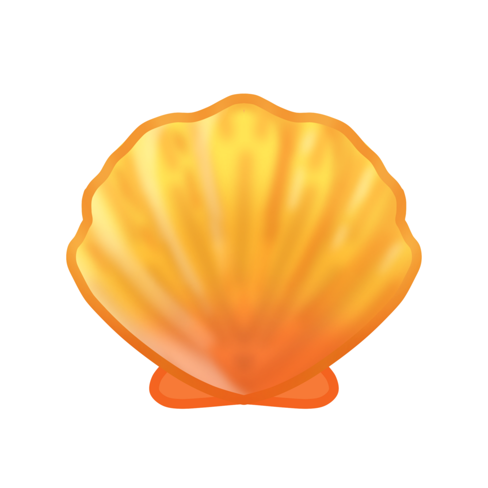 an orange shell on a transparent background png