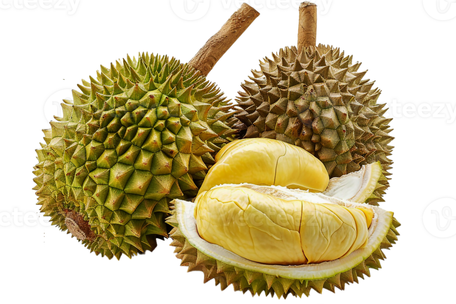 färsk Durian thailand frukt tropisk png