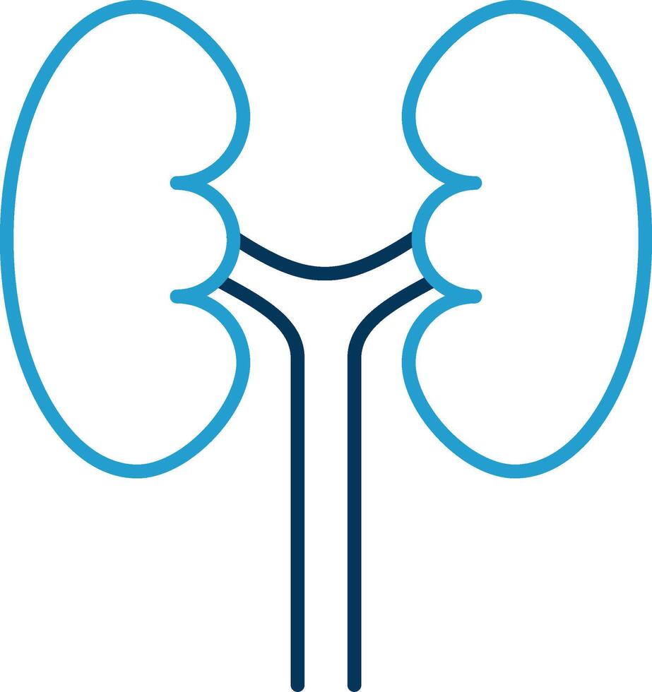 Urology Line Blue Two Color Icon vector