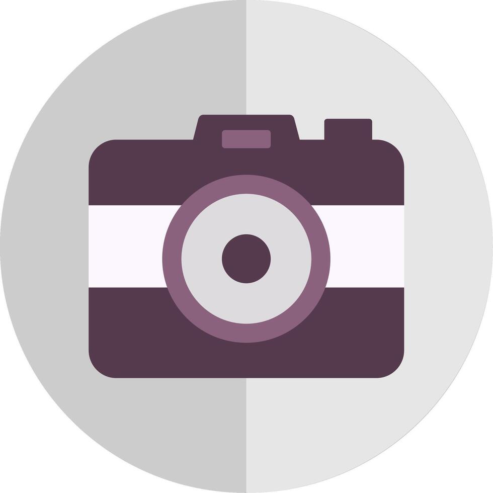Photo Camera Flat Scale Icon vector