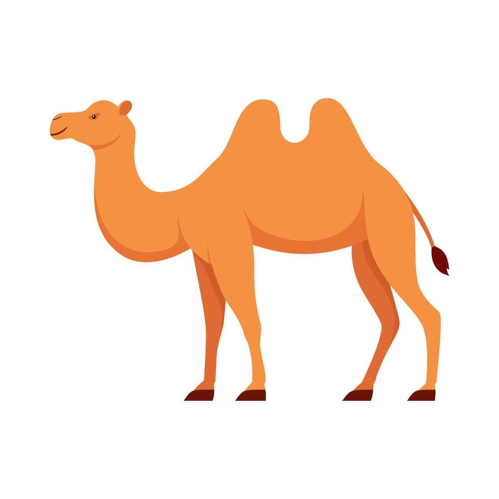 Flat illustration of camel on isolated background vector
