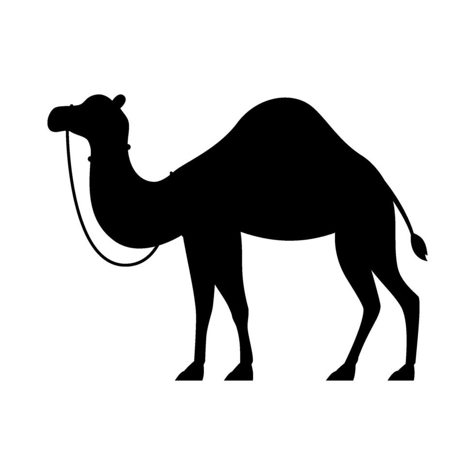Camel silhouette flat illustration on isolated background vector