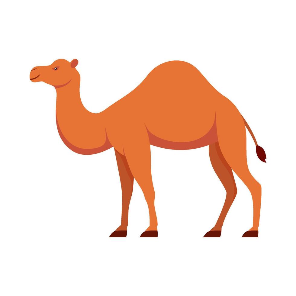 Flat illustration of camel on isolated background vector