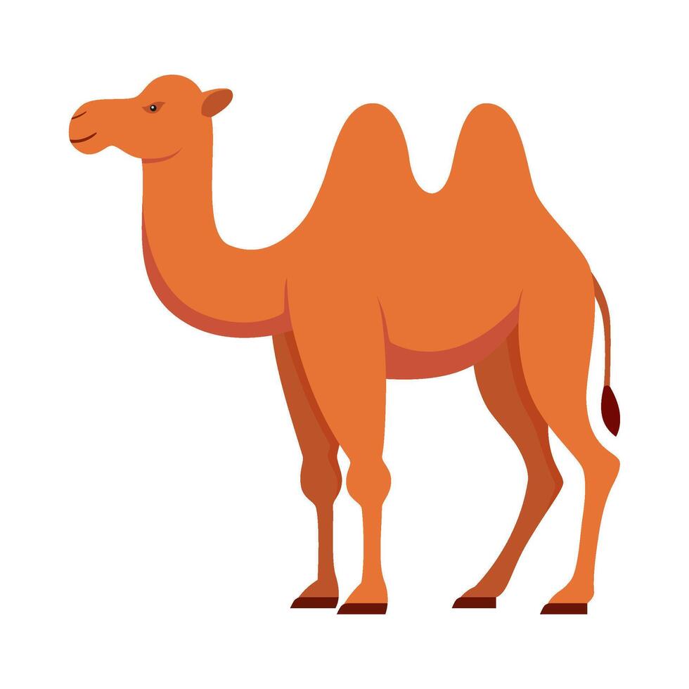 Flat illustration of camel on isolated background vector