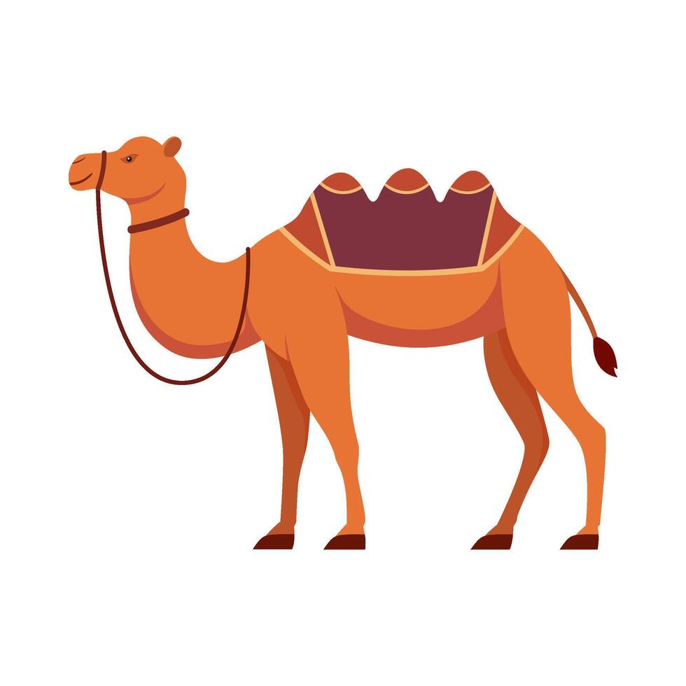 Flat illustration of camel on isolated background vector