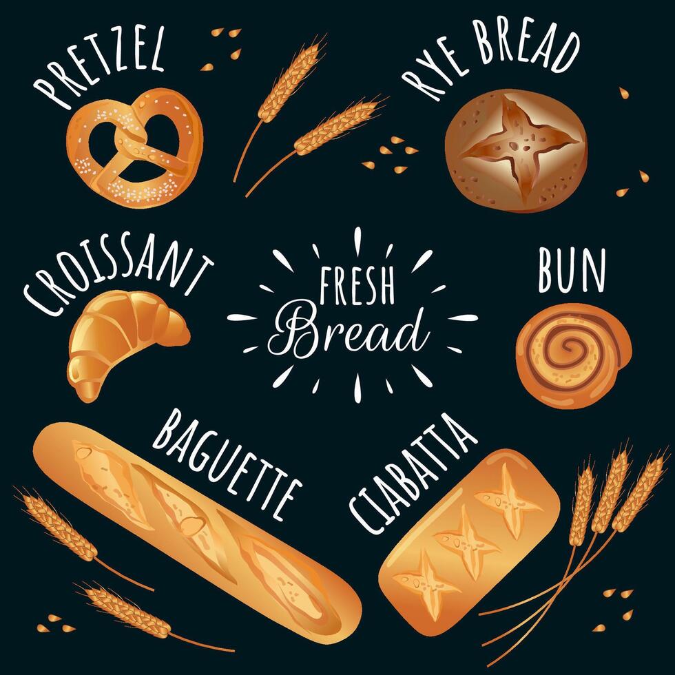 Bakery set of bread on dark background vector