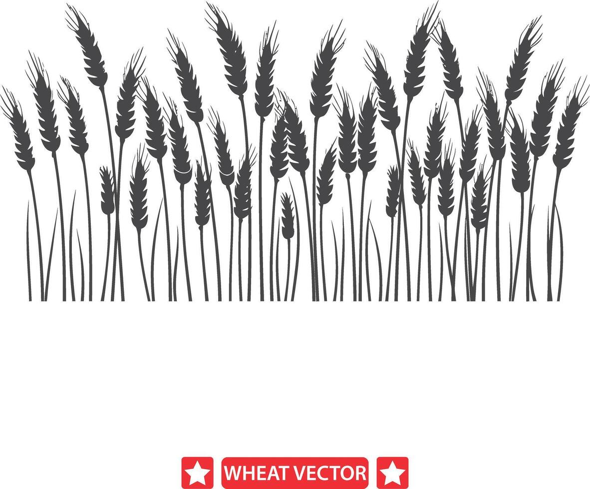 Rural Rhapsody Artistic Wheat Silhouette Compilation vector