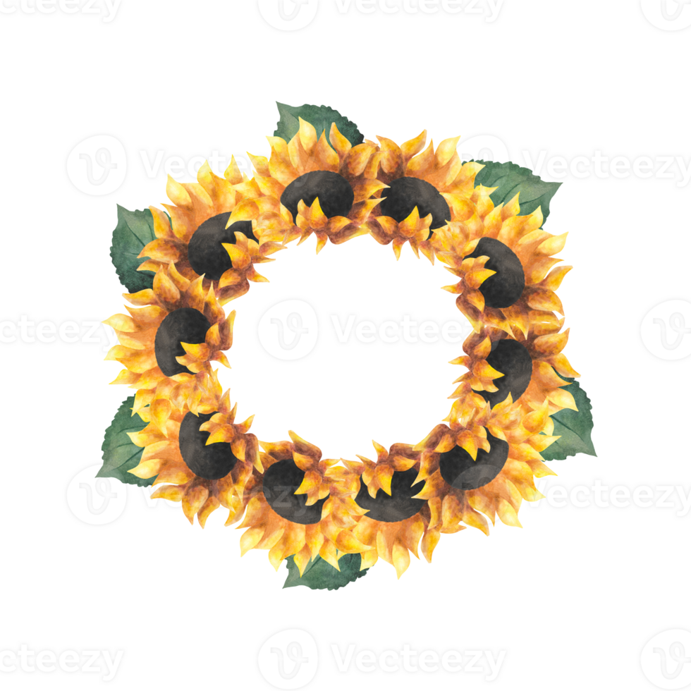 Watercolor floral wreath with sunflowers leaf Circle frame for sunseed oil ads wrapping postcard logo urban gardening day decoration Women day Mother day birthday Round border Template Grocer Floral png