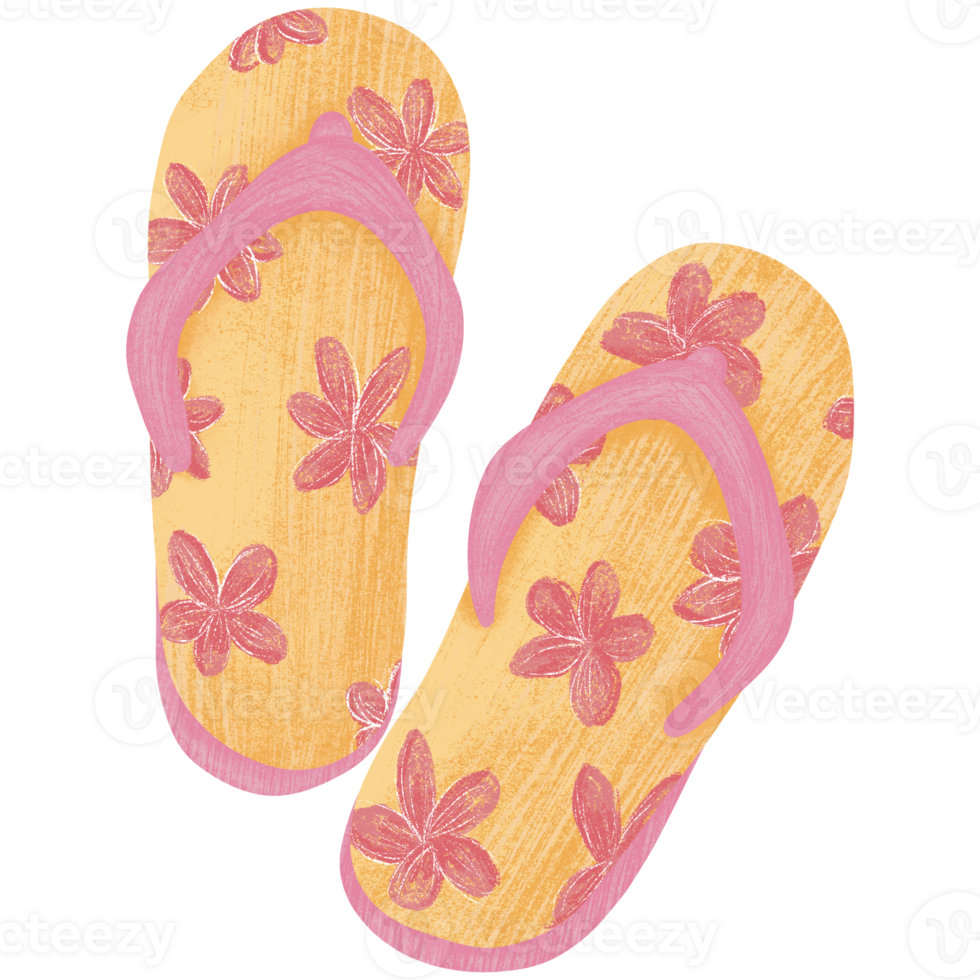 Illustration of sandals isolated on transparent background. png
