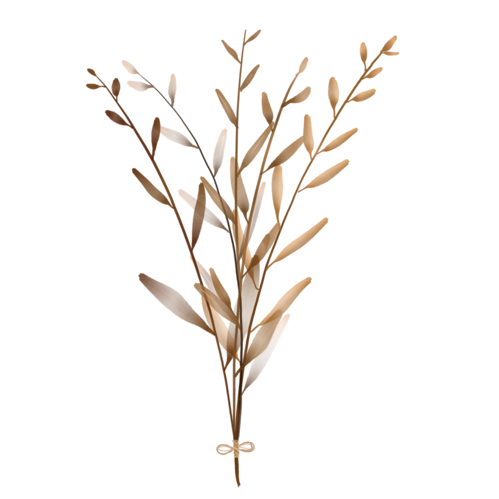 A Bunch of Brown Plants on a Transparent Background png