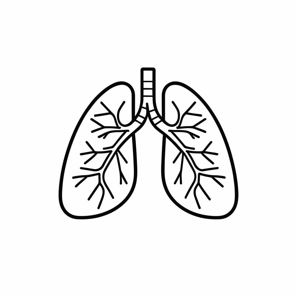 Human lungs anatomy icon illustration flat 2d design vector