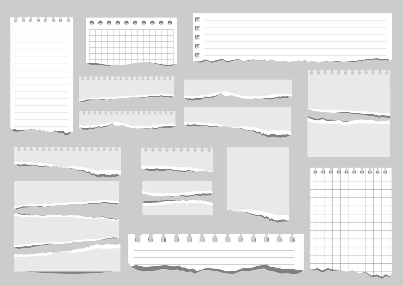 piezas de papel de diferente tipos Rasgado cuaderno documentos colocar. blanco con un cuadrícula cuaderno rasgado fuera documentos. Bosquejo vector