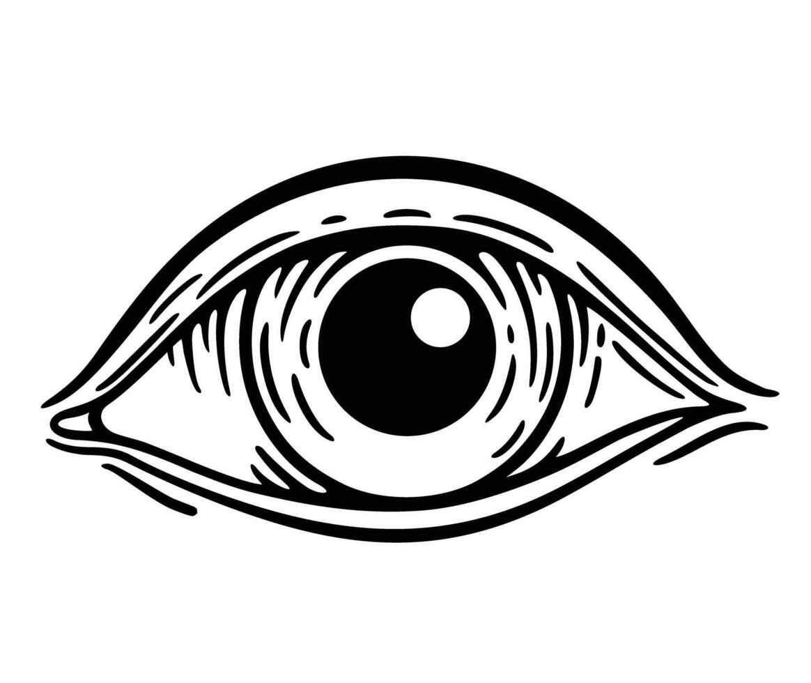 human eye in engraved style. Eye of Providence. Masonic symbol vector