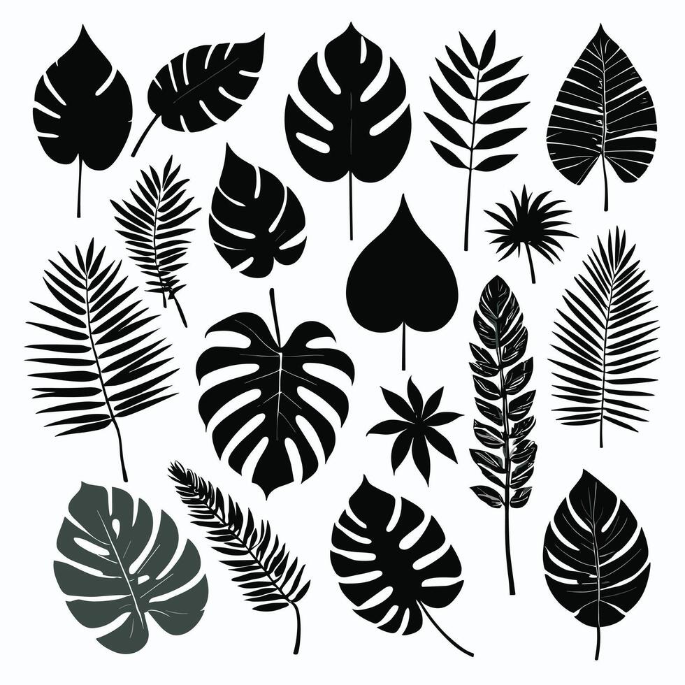 Exotic leaf set 2d collection of tropical leaves silhouette vector