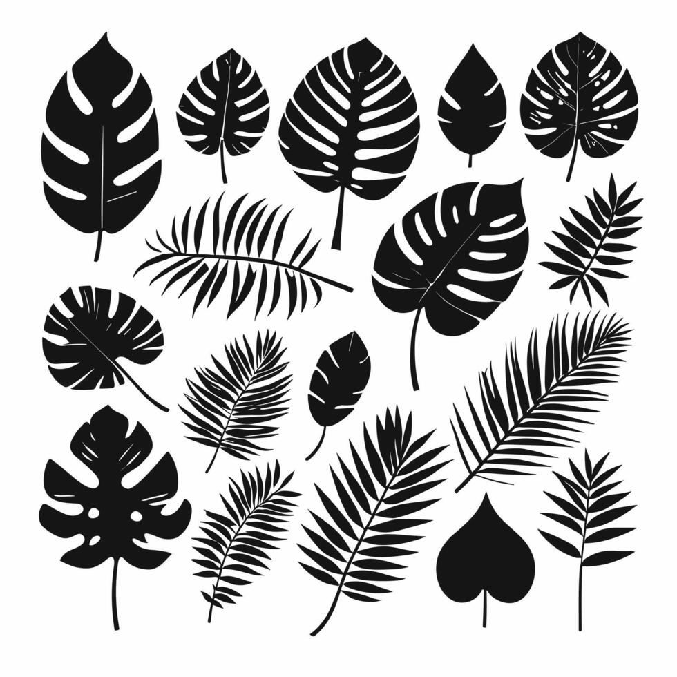 Exotic leaf set 2d collection of tropical leaves silhouette vector