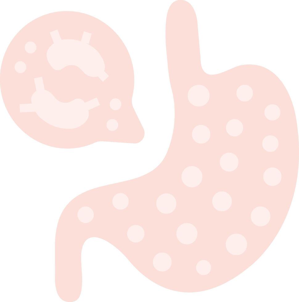 a stomach and a small intestine vector