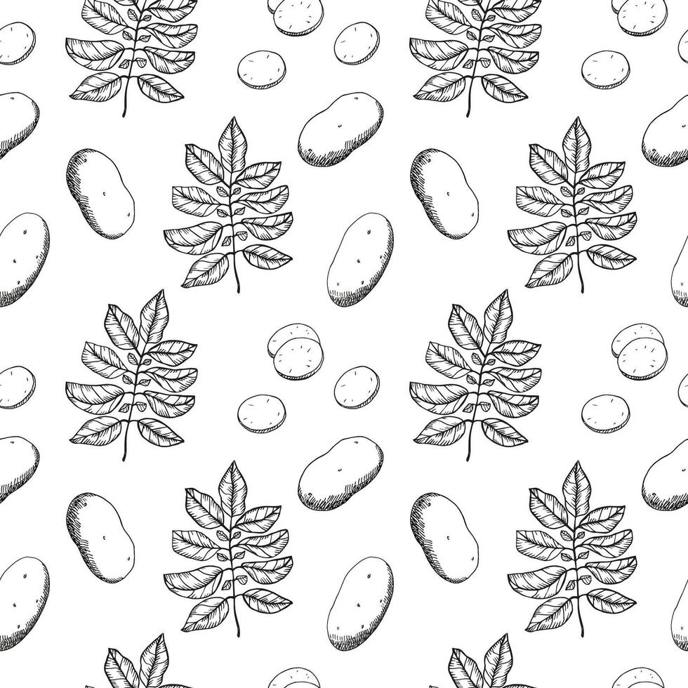 Potatoes seamless pattern Hand drawn engraved food background with potato plant fruit, leaf, heaps, whole vegetables, sliced pieces. Drawn sketch style ornament for paper, menu, wrapping, label vector