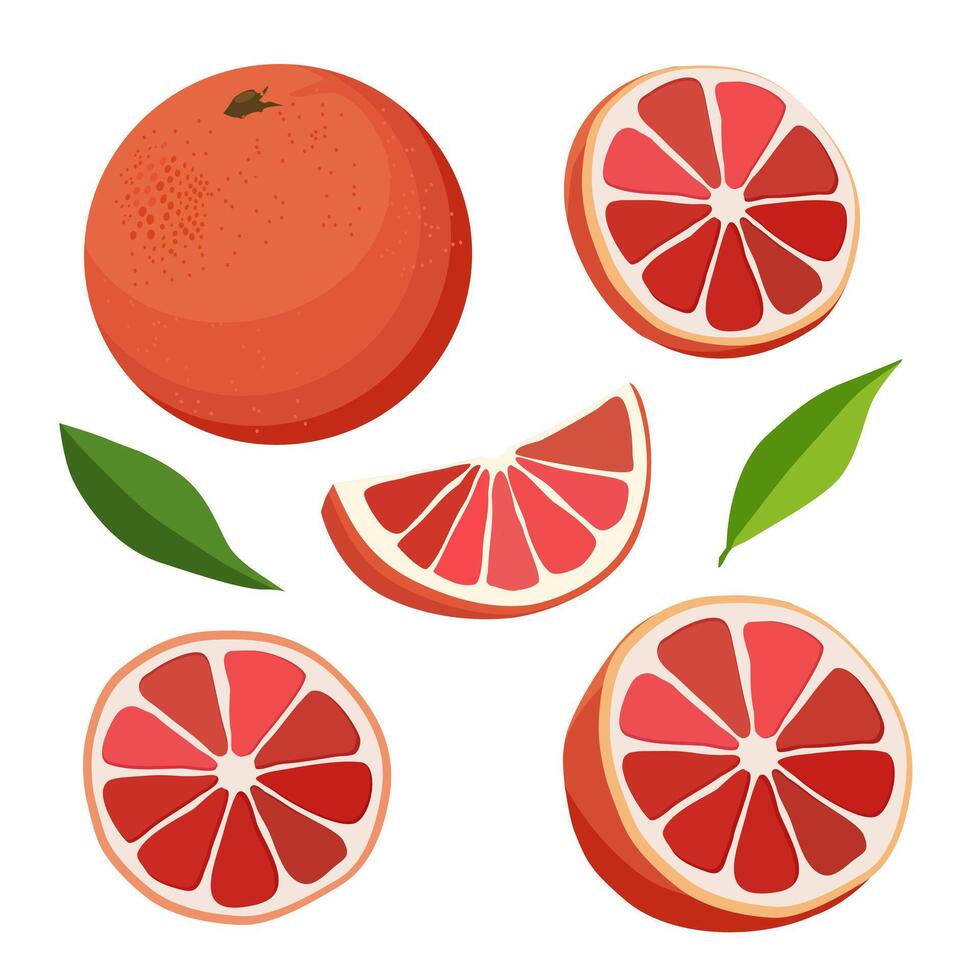 conjunto de jugoso y sano rojo pomelo y rebanadas aislado en blanco antecedentes. rebanado Fruta ilustración en plano estilo. verano clipart para diseño de tarjeta, bandera, volantes, venta, póster, íconos vector