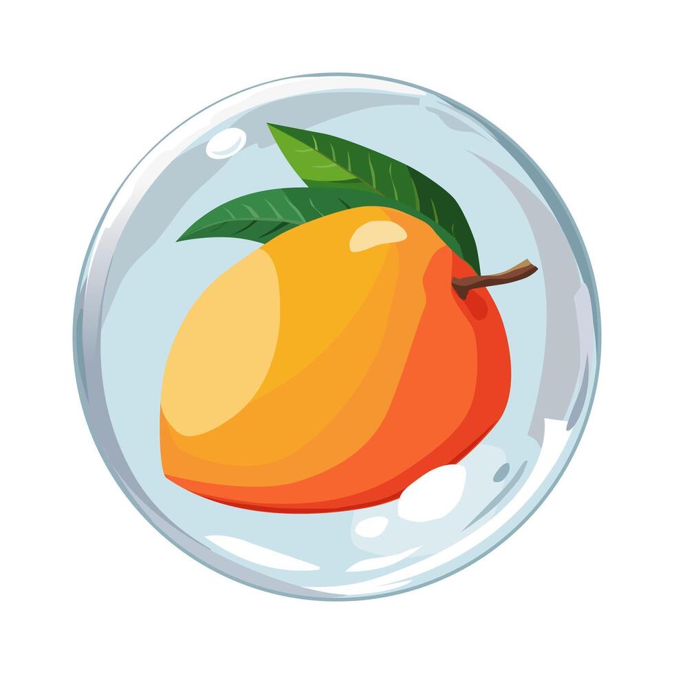 Healthy orange mango in air bubble. Isolated illustration on white background. Summer fruit for flat design of cards, banner, presentations, logo, poster vector