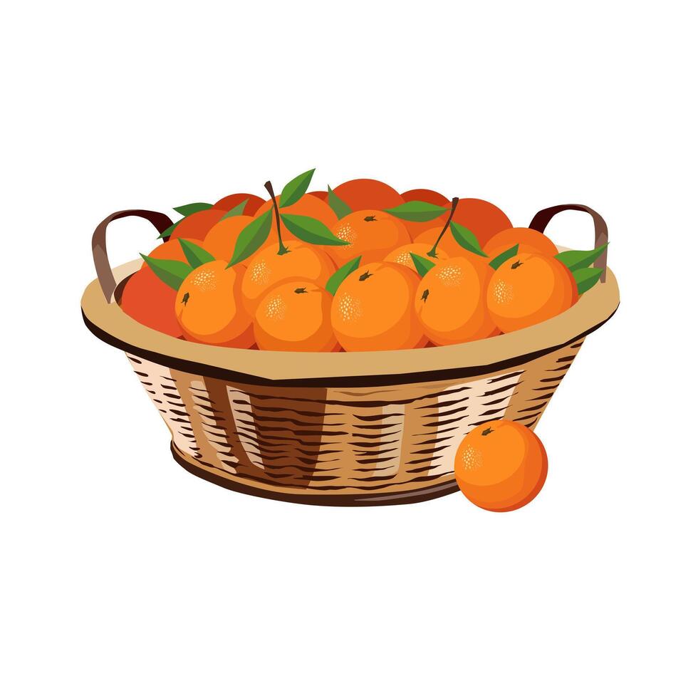 mimbre cesta lleno de sano y jugoso rojo naranjas aislado en blanco antecedentes. Fruta ilustración en plano estilo. verano clipart para diseño de tarjeta, bandera, volantes, póster vector