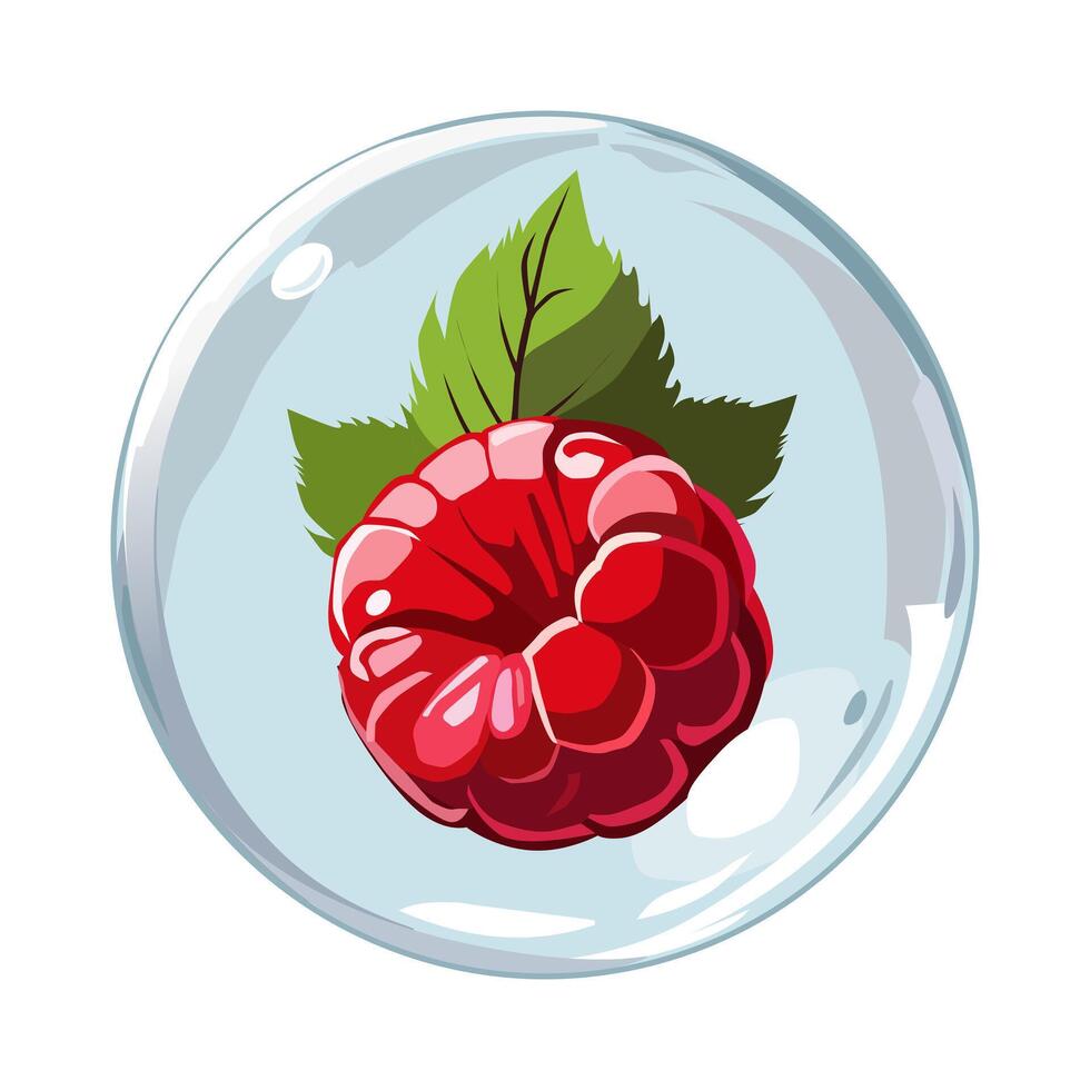 sano rojo frambuesas en aire burbuja. aislado ilustración en blanco antecedentes. verano Fruta para plano diseño de tarjetas, bandera, presentaciones, logo, póster vector