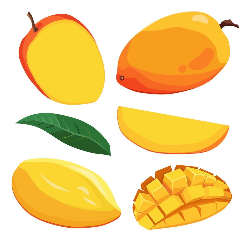 Set of juicy and healthy yellow red mango and slices isolated on white background. sliced fruit illustration in flat style. Summer clipart for design of card, banner, flyer, sale, poster, icons vector