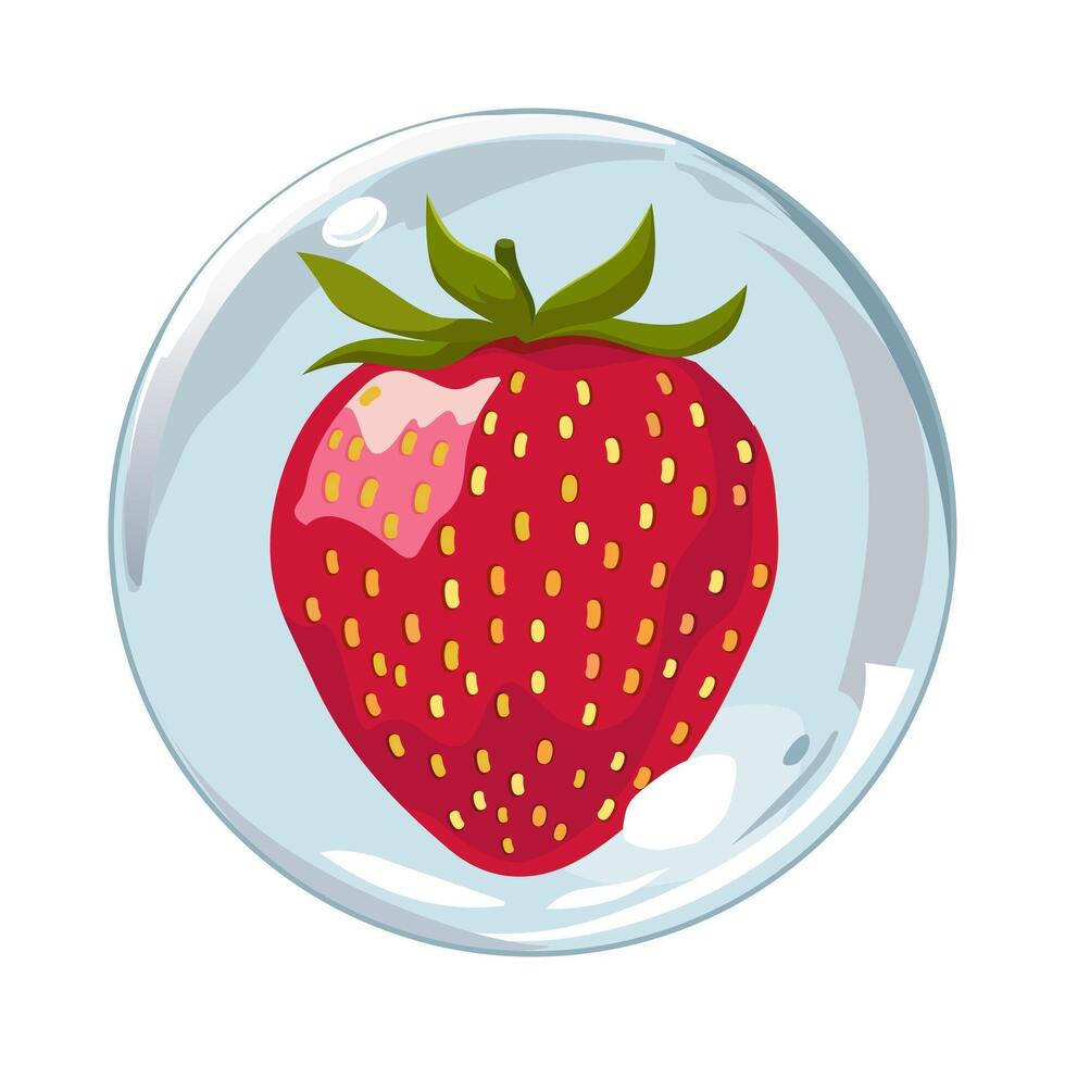 sano rojo fresa en aire burbuja. aislado ilustración en blanco antecedentes. verano Fruta para plano diseño de tarjetas, bandera, presentaciones, logo, póster vector