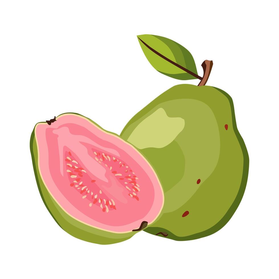 jugoso y sano verde rosado cortar guayaba con verde hojas. aislado ilustración en blanco antecedentes. verano Fruta para plano diseño de tarjeta, bandera, volantes, venta, póster, íconos vector