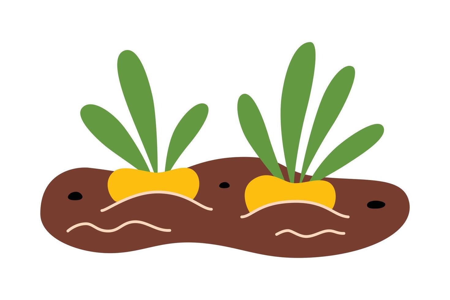 Garden bed with turnip, farming illustration, growing vegetables, radish icon, harvesting beet, spring gardening, planting food, vegetarian concept, plants in soil vector