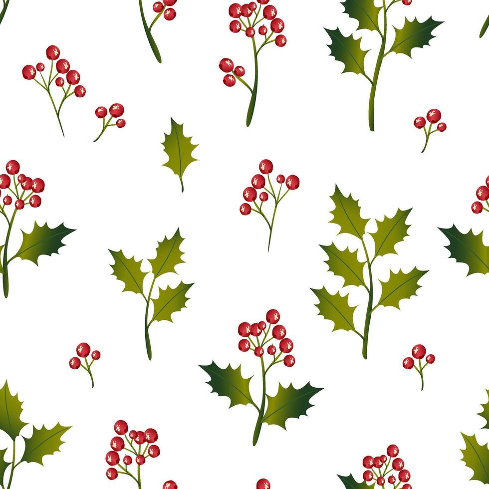 Holly branches with berries and leaves on a white background form a seamless Christmas holiday pattern. . vector