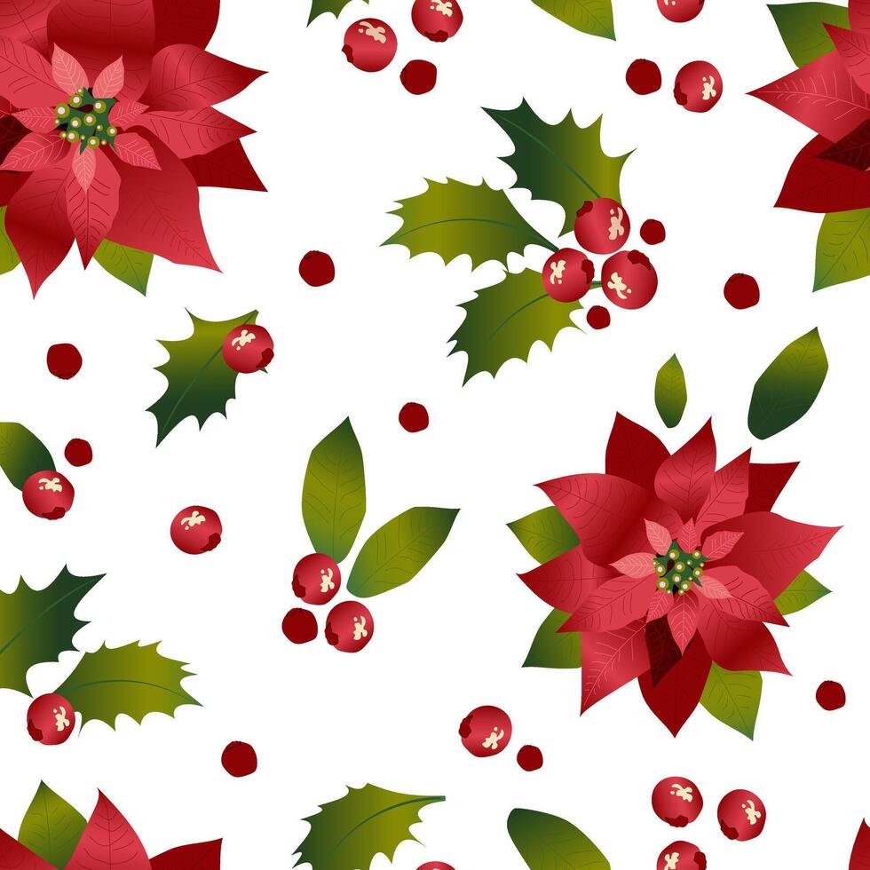 Beautiful spurge or poinsettia with holly berries on a white background form a seamless Christmas pattern. . vector