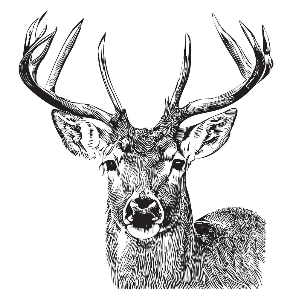 Deer face sketch hand drawn in doodle style illustration vector