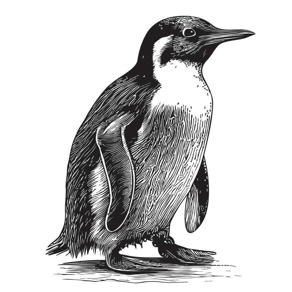 pingüino de pie, mano dibujado bosquejo en garabatear estilo ilustración vector