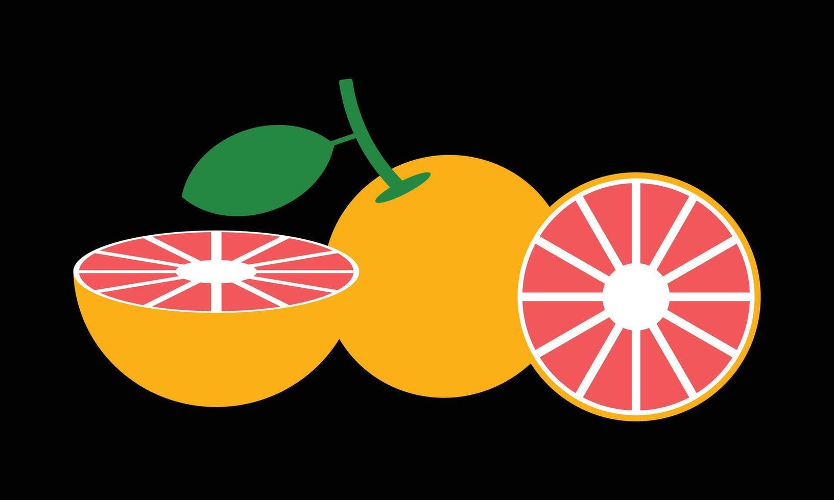 Grapefruit Design And Illustration. vector