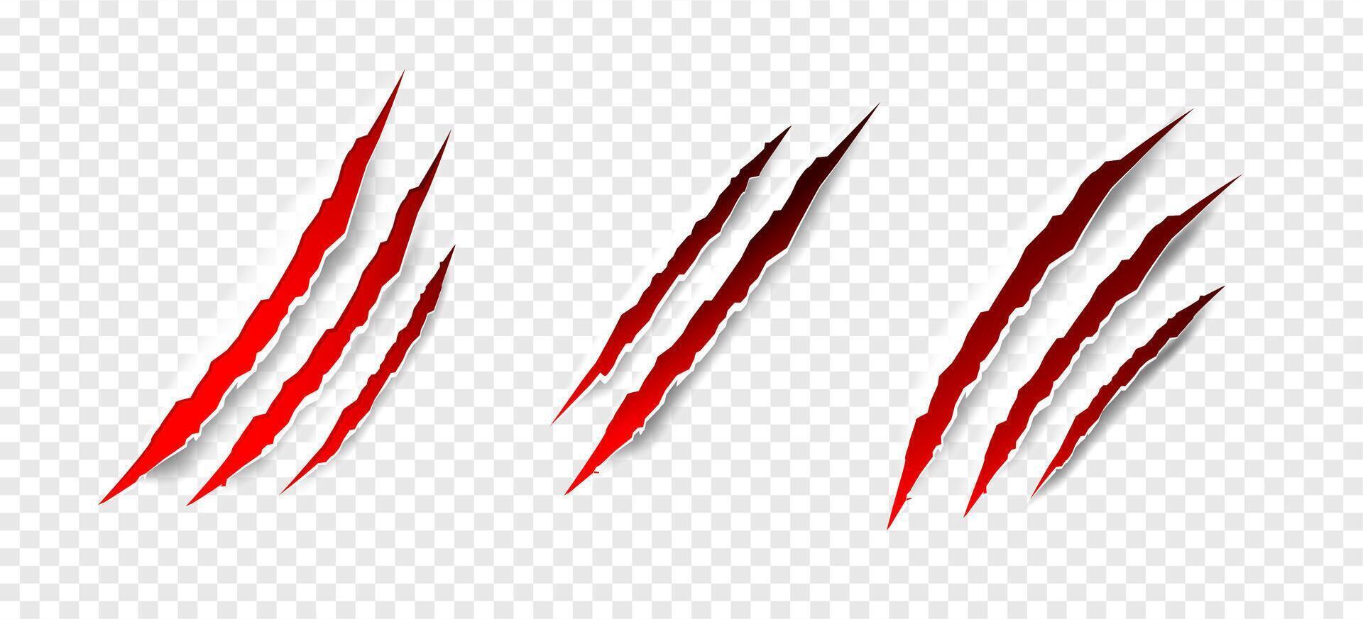 Claws scratches - isolated vector