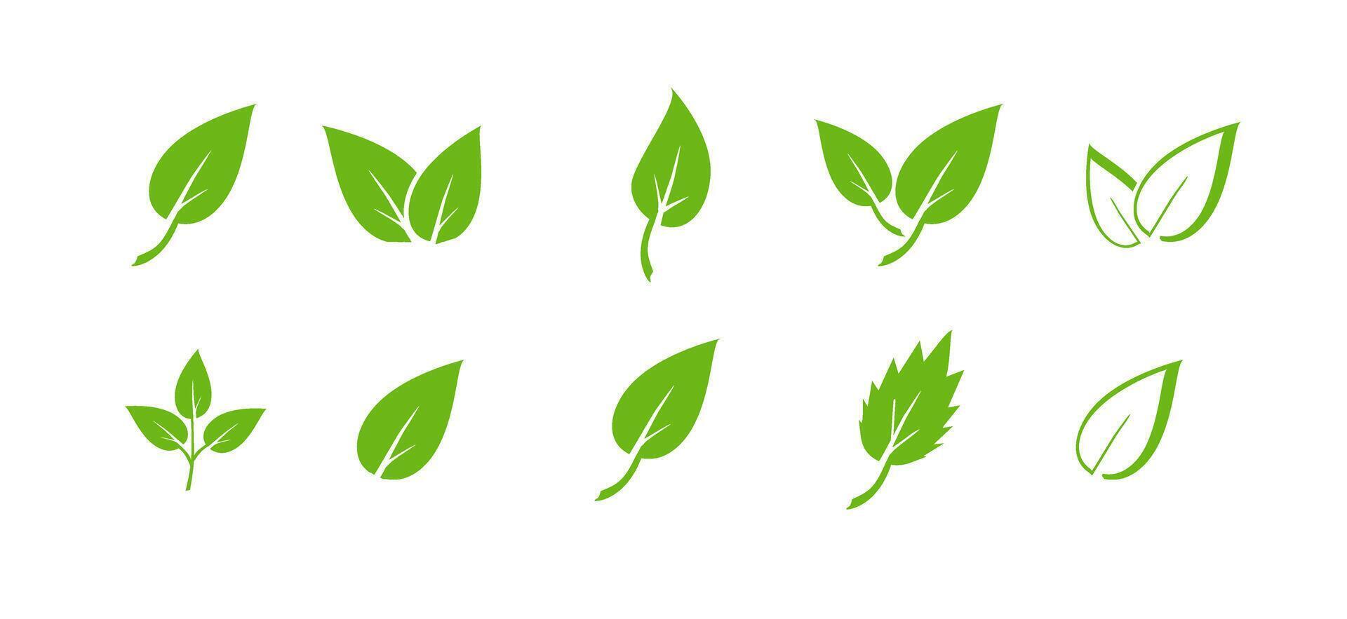 Green leaf icons set. Elements vector