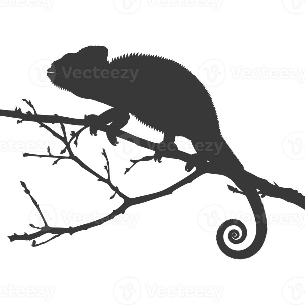 Silhouette chameleon Animal black color only full body png