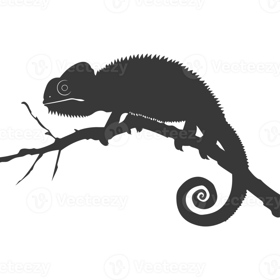 Silhouette chameleon Animal black color only full body png