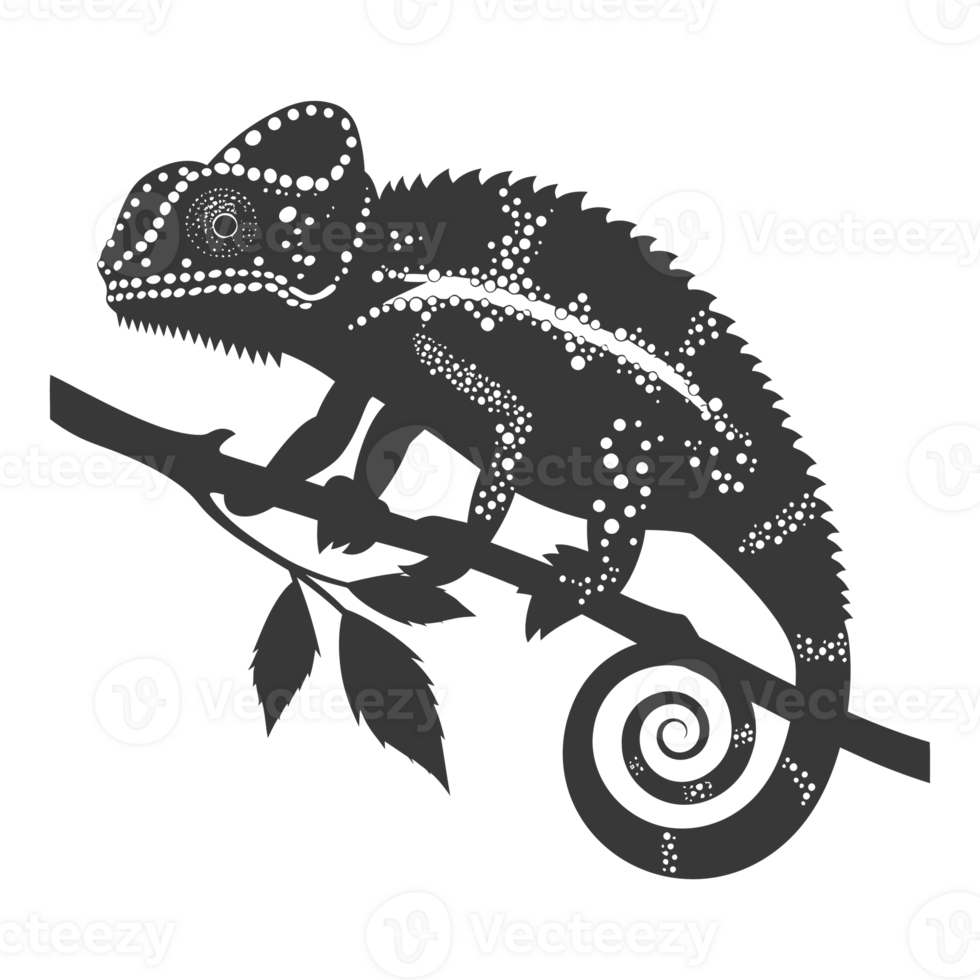 Silhouette chameleon Animal black color only full body png