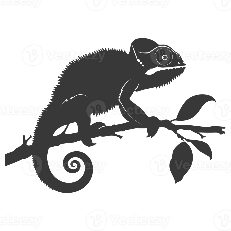 Silhouette chameleon Animal black color only full body png