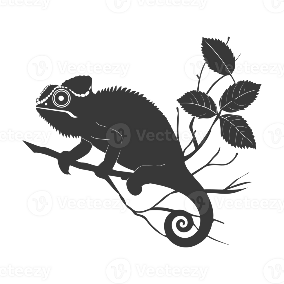 Silhouette chameleon Animal black color only full body png